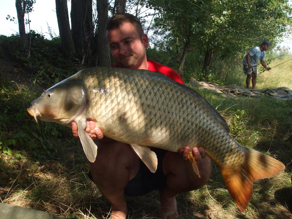 BRIGADA DIVERSE  - DSCF4153.JPG